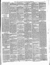 Croydon Advertiser and East Surrey Reporter Saturday 20 December 1879 Page 7