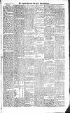 Croydon Advertiser and East Surrey Reporter Saturday 03 January 1885 Page 3