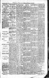 Croydon Advertiser and East Surrey Reporter Saturday 17 January 1885 Page 5