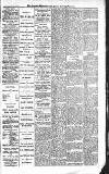 Croydon Advertiser and East Surrey Reporter Saturday 14 February 1885 Page 5