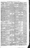 Croydon Advertiser and East Surrey Reporter Saturday 21 February 1885 Page 7