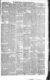 Croydon Advertiser and East Surrey Reporter Saturday 07 March 1885 Page 7