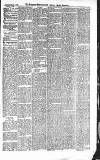 Croydon Advertiser and East Surrey Reporter Saturday 21 March 1885 Page 5