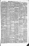 Croydon Advertiser and East Surrey Reporter Saturday 11 April 1885 Page 7