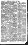 Croydon Advertiser and East Surrey Reporter Saturday 13 June 1885 Page 7