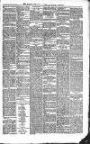 Croydon Advertiser and East Surrey Reporter Saturday 11 July 1885 Page 7