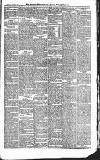 Croydon Advertiser and East Surrey Reporter Saturday 05 September 1885 Page 7
