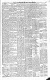 Croydon Advertiser and East Surrey Reporter Saturday 30 January 1886 Page 3