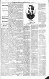 Croydon Advertiser and East Surrey Reporter Saturday 30 January 1886 Page 5