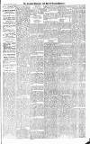 Croydon Advertiser and East Surrey Reporter Saturday 20 February 1886 Page 5