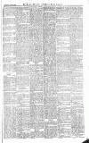 Croydon Advertiser and East Surrey Reporter Saturday 13 March 1886 Page 7