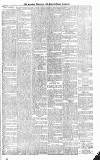 Croydon Advertiser and East Surrey Reporter Saturday 05 June 1886 Page 7