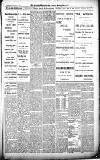 Croydon Advertiser and East Surrey Reporter Saturday 12 January 1889 Page 5
