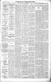 Croydon Advertiser and East Surrey Reporter Saturday 13 April 1889 Page 5