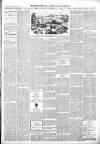 Croydon Advertiser and East Surrey Reporter Saturday 20 April 1889 Page 5