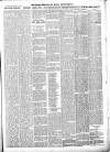 Croydon Advertiser and East Surrey Reporter Saturday 21 December 1889 Page 5