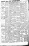 Croydon Advertiser and East Surrey Reporter Saturday 14 February 1891 Page 5