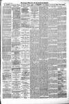 Croydon Advertiser and East Surrey Reporter Saturday 20 June 1891 Page 5