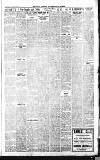 Croydon Advertiser and East Surrey Reporter Saturday 29 January 1910 Page 11