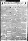 Cumberland Pacquet, and Ware's Whitehaven Advertiser Tuesday 31 May 1803 Page 1