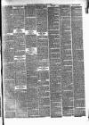 Marylebone Mercury Saturday 03 January 1874 Page 3