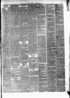 Marylebone Mercury Saturday 01 August 1874 Page 3