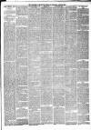 Marylebone Mercury Saturday 02 April 1881 Page 3