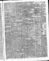 Newry Reporter Saturday 29 January 1876 Page 3