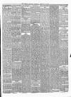 Newry Reporter Saturday 23 February 1878 Page 3