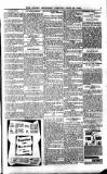 Newry Reporter Tuesday 12 June 1906 Page 3