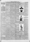Saffron Walden Weekly News Saturday 15 June 1889 Page 3
