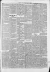 Saffron Walden Weekly News Saturday 15 June 1889 Page 5