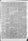 Saffron Walden Weekly News Saturday 22 June 1889 Page 5