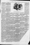 Saffron Walden Weekly News Saturday 29 June 1889 Page 7