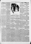 Saffron Walden Weekly News Saturday 06 July 1889 Page 7