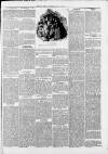 Saffron Walden Weekly News Saturday 13 July 1889 Page 7