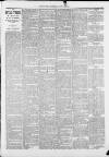 Saffron Walden Weekly News Saturday 17 August 1889 Page 3
