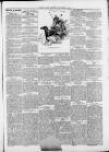 Saffron Walden Weekly News Saturday 07 September 1889 Page 7