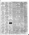 Saffron Walden Weekly News Friday 29 May 1891 Page 5