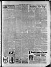 Saffron Walden Weekly News Friday 14 November 1913 Page 3