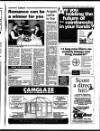 Saffron Walden Weekly News Thursday 03 February 1994 Page 29