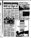 Saffron Walden Weekly News Thursday 09 June 1994 Page 29