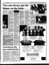 Saffron Walden Weekly News Thursday 02 November 1995 Page 11