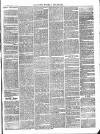 Croydon's Weekly Standard Saturday 26 November 1864 Page 3