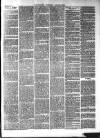 Croydon's Weekly Standard Saturday 11 March 1865 Page 3