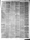 Croydon's Weekly Standard Saturday 08 July 1865 Page 3