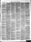 Croydon's Weekly Standard Saturday 09 March 1867 Page 3