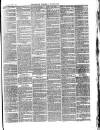 Croydon's Weekly Standard Saturday 05 June 1880 Page 3