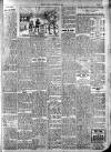 Runcorn Weekly News Friday 31 October 1913 Page 7