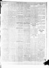 Runcorn Weekly News Friday 19 May 1916 Page 5